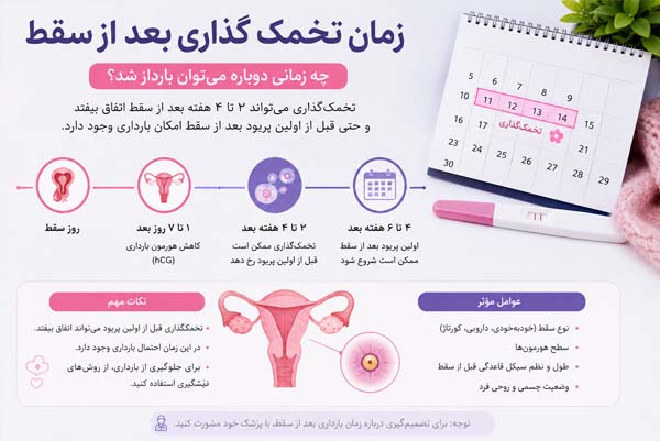 زمان تخمک گذاری بعد از سقط %%sep%% تخمک گذاری پس از سقط جنین %%sep%% پریود بعد از سقط %%sep%% احتمال بارداری بعد از سقط %%sep%% مراقبت‌های بعد از سقط جنین